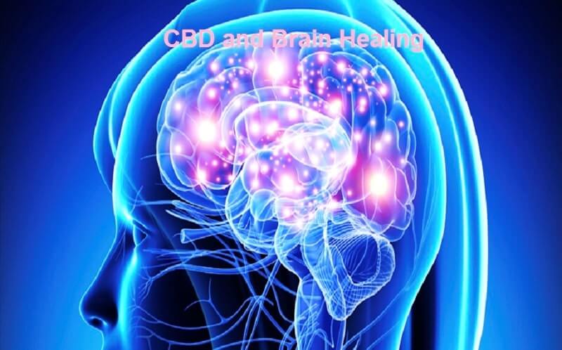 CBD and Brain Healing