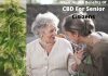 Major Health Benefits Of CBD For Senior Citizens