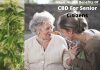 Major Health Benefits of CBD for Senior Citizens Major Health Benefits Of CBD For Senior Citizens