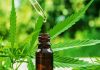 Best Utilities of CBD Tinctures CBD Tinctures