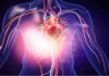 Can CBD Be Proven Safe and Effective for Treating Heart Conditions? CBD for Treating Heart Conditions