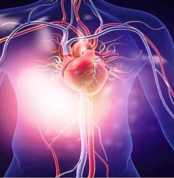 CBD for Treating Heart Conditions