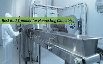 BUD TRIMMERS FOR HARVESTING CANNABIS