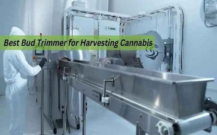 BUD TRIMMERS FOR HARVESTING CANNABIS