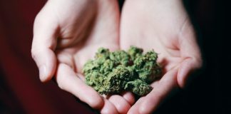 Debunking Myths and Misconceptions About Marijuana