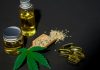 CBD Oil for Anxiety