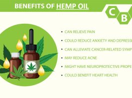 Hemp Oil Benefits Unveiled: Journalistic Exploration Hemp Oil Benefits