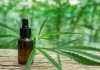 Use Hemp Oil