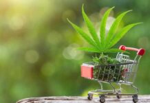 CBD – Finding the Hemp Store Near Me Hemp Store