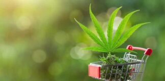 CBD – Finding the Hemp Store Near Me Hemp Store
