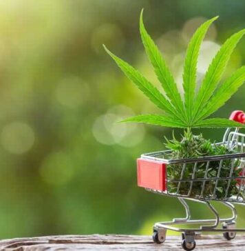 CBD – Finding the Hemp Store Near Me Hemp Store