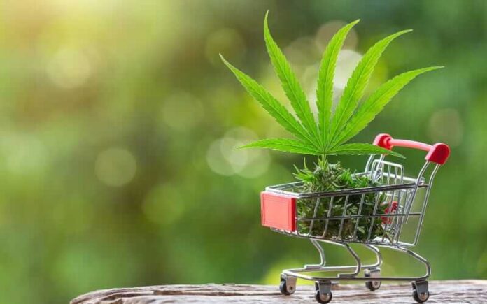 Hemp Store Hemp Store