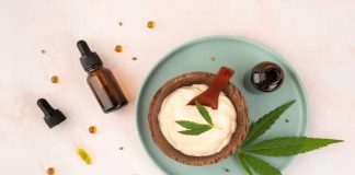 CBD in Food – Is It Worth It? CBD in Food