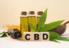 CBD as a Gateway to THC